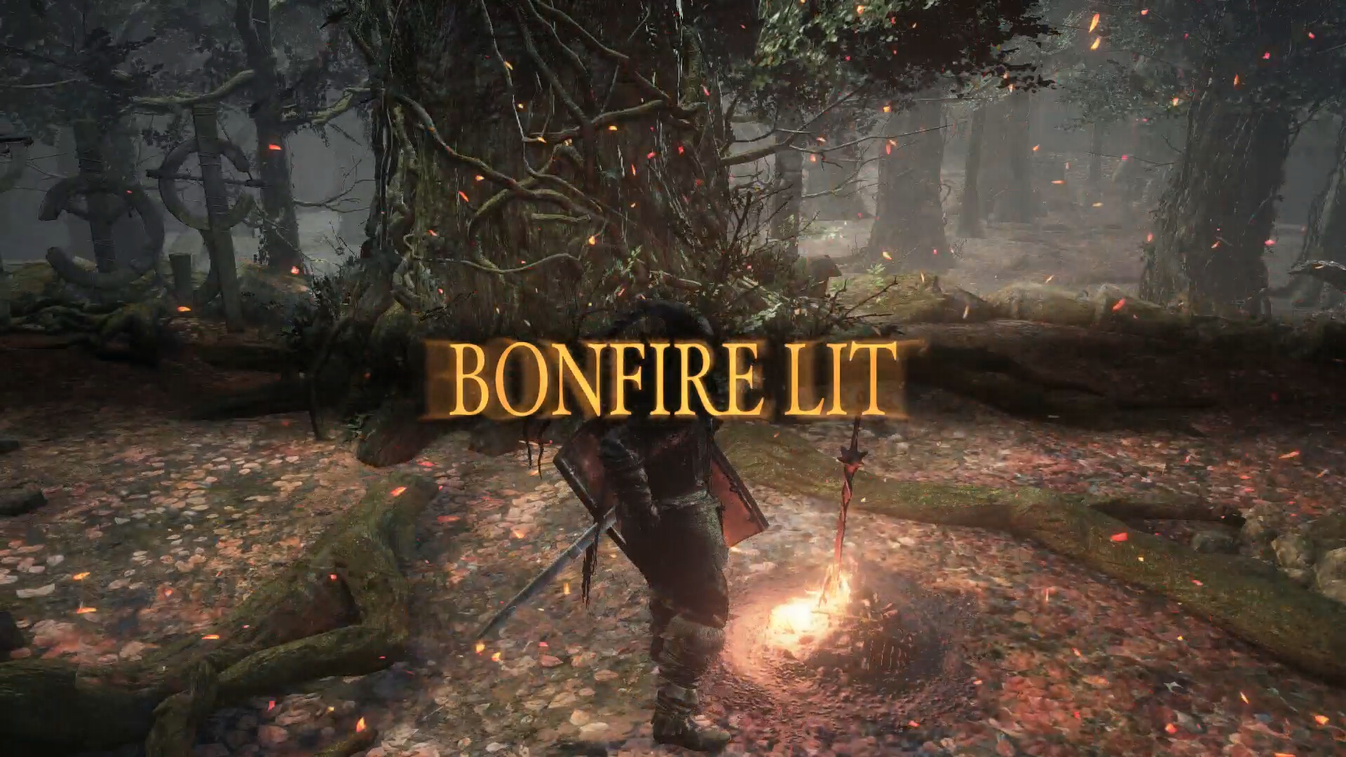 Bonfire Lit
